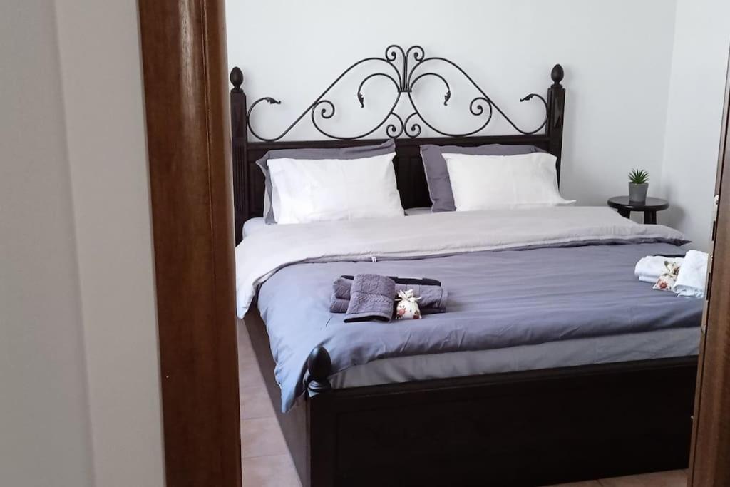 Elea Home Apartments Alexandrúpoli Kültér fotó