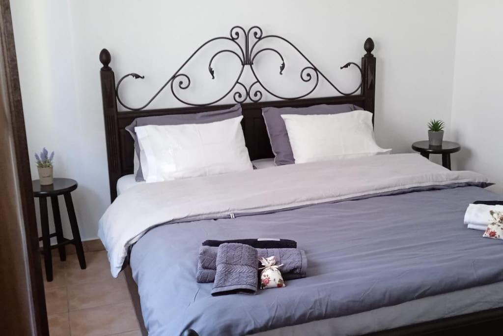 Elea Home Apartments Alexandrúpoli Kültér fotó